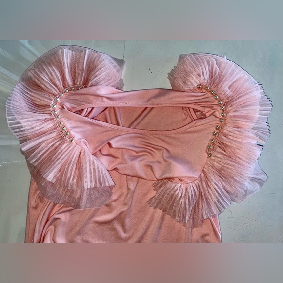 LAST SALE PRICE TOP FROTHY PLEATED LAYERS TULLE SLEEVE ROSE SIZE SMALL STRETCH - Picture 5 of 13